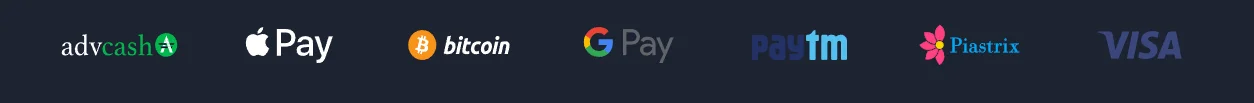 Mr Fortune Casino payment methods